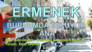 Ermenek Burnumda Tütüyor Ana