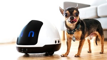 Top 5 - Home Robots / Robot Kits For Your Home To Make Your Life Easier.