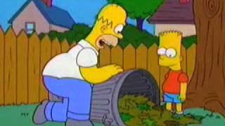 Homer the Chiropractor