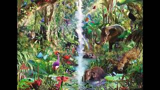 SELVA - BIOMAS BIOMAS