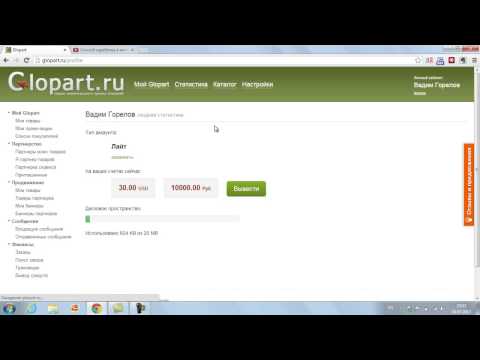 ЗАРАБОТОК ЗА ДВА ДНЯ РАБОТЫ В ИНТЕРНЕТЕ-20-08-2015