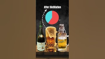 Thumbnail of Difference Between Wine, Beer, Whiskey & More Explained Simply! #hindifacts #trending