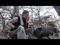 Film Gibi Bir Domuz Avı /  Like a movie Wild Boar Hunting