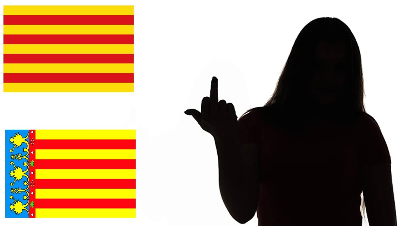 El origen del odio de la Novia de Sasel.