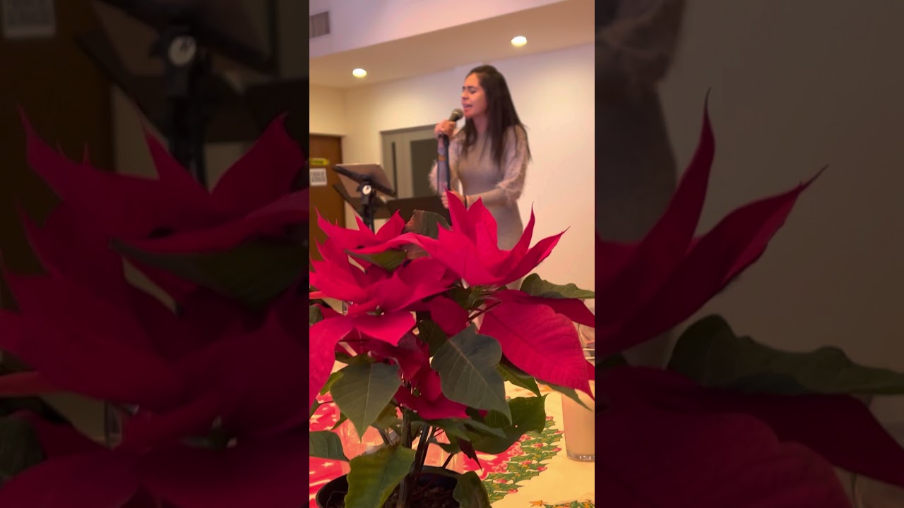 ES PORQUE TE AMO,  BRENDA BASURTO