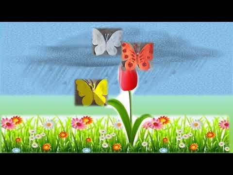Video: Strah Pred žuželkami, Metulji In Kačami - Skrite Muhe Strahu Pred Smrtjo