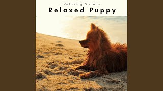 New Age Subtle Dogs Music for Deep Sleep