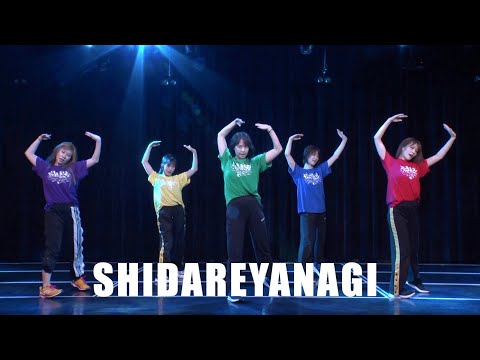 シダレヤナギ/だんさぶる！ (SHIDAREYANAGI/danceable)