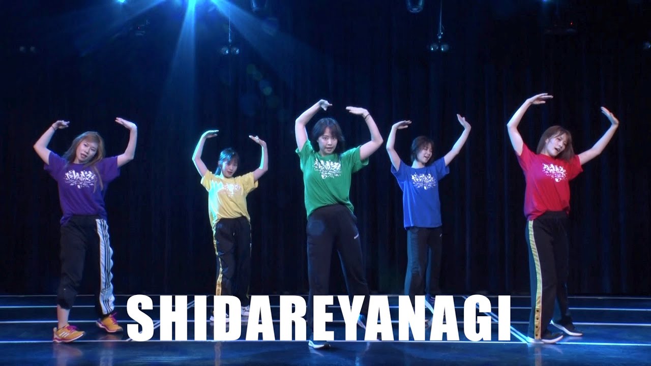 シダレヤナギ/だんさぶる！ (SHIDAREYANAGI/danceable)