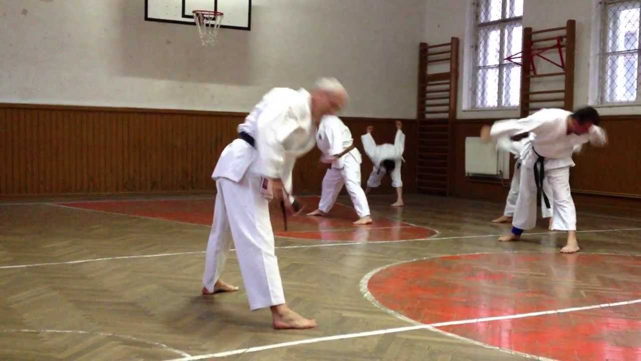 varicoza i karate)