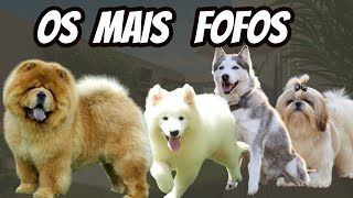 OS  7   CACHORROS MAIS FOFOS  DO MUNDO!