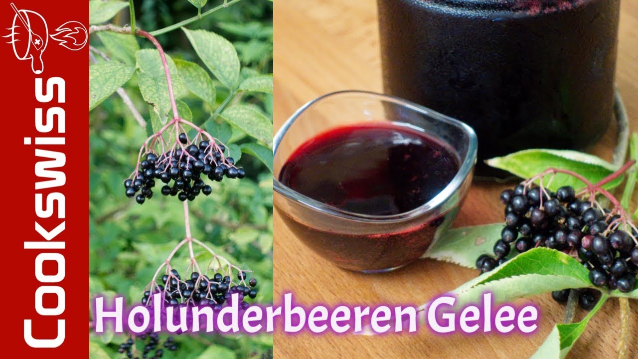 Holunderbeeren Gelee