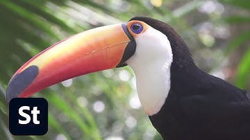 Nature at its best! Stock Footage from Adobe Stock | Adobe Creative Cloud