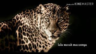 CAK NUN- kisah macan. Perumpamaan yang terjadi di Indonesia sekarang