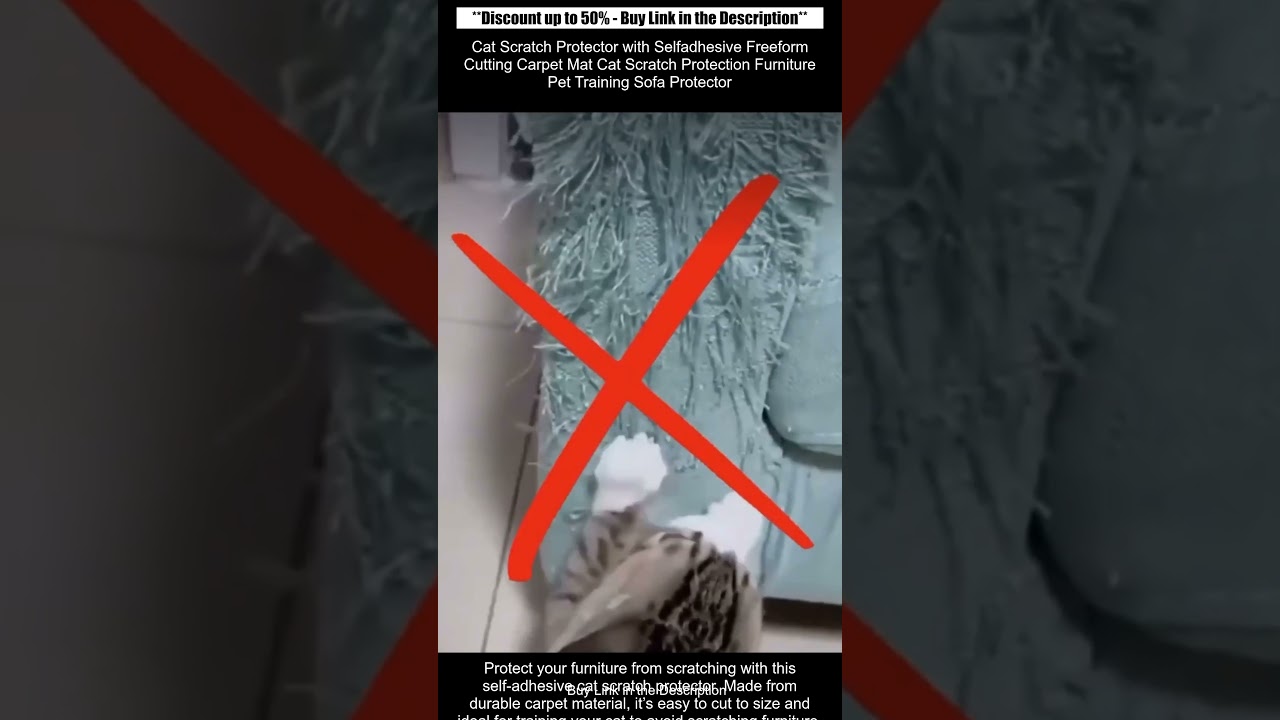 Cat Scratch Protector Mat
