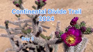 Day 3 Snazzy on Trail. Continental Divide Trail 2024. Crazy Cook headed towards Lordsburg, N￼M