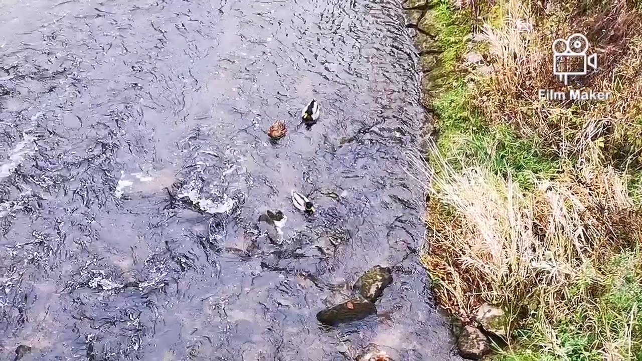 SCHORNDORF WINTERBACH REMSTAL