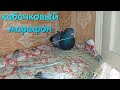 Устроил лётно-оздоровительный марафон для кабачков