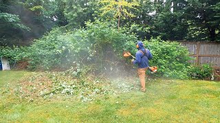 CREEPING Blackberries Were Trespassing Onto Their Lawn, But Not For Long! Blackberry Mulching! by Golovin Property Services 952 views 9 months ago 11 minutes, 24 seconds