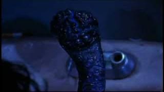 brain damage,aylmer's song