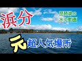 【琵琶湖の水中動画】”元”超人気ポイント