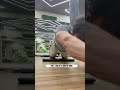 Hit gym and transform yourself #india #travel #fitness #calesthenic #trendingshorts