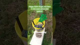 Honigbienen 🐝🐝🐝🐝🐝🐝