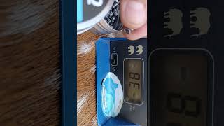 #Rifle #pcp #Fox #pr900 #5.5 al cual se realiza servís completo + potenciado,Chrony tomado con 18g😊😊