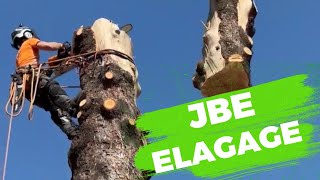 JBE ÉLAGAGE // DÉMONTAGE A LA GRUE DU SAPIN FRAPPÉ PAR LE FOUDRE // JOUR 2