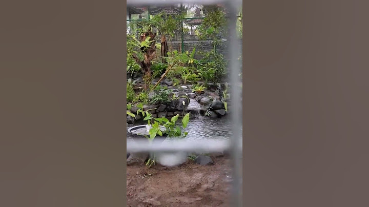 Kolam Aviary