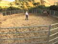 How to start round penning a young horse with Charles Wilhelm