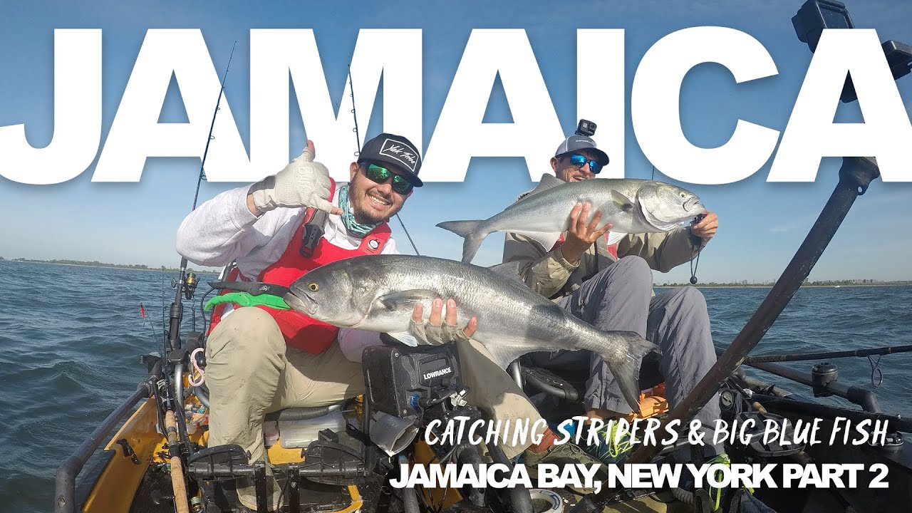 Catching Stripers & Big Blue Fish in New York Jamaica Bay Pt. 2 YouTube