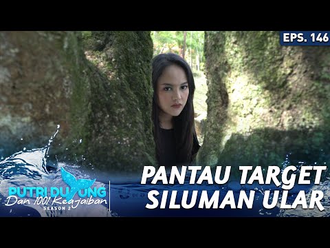 Siluman Ular Pantau Mangsanya Putri Duyung Dan 1001 Keajaiban
