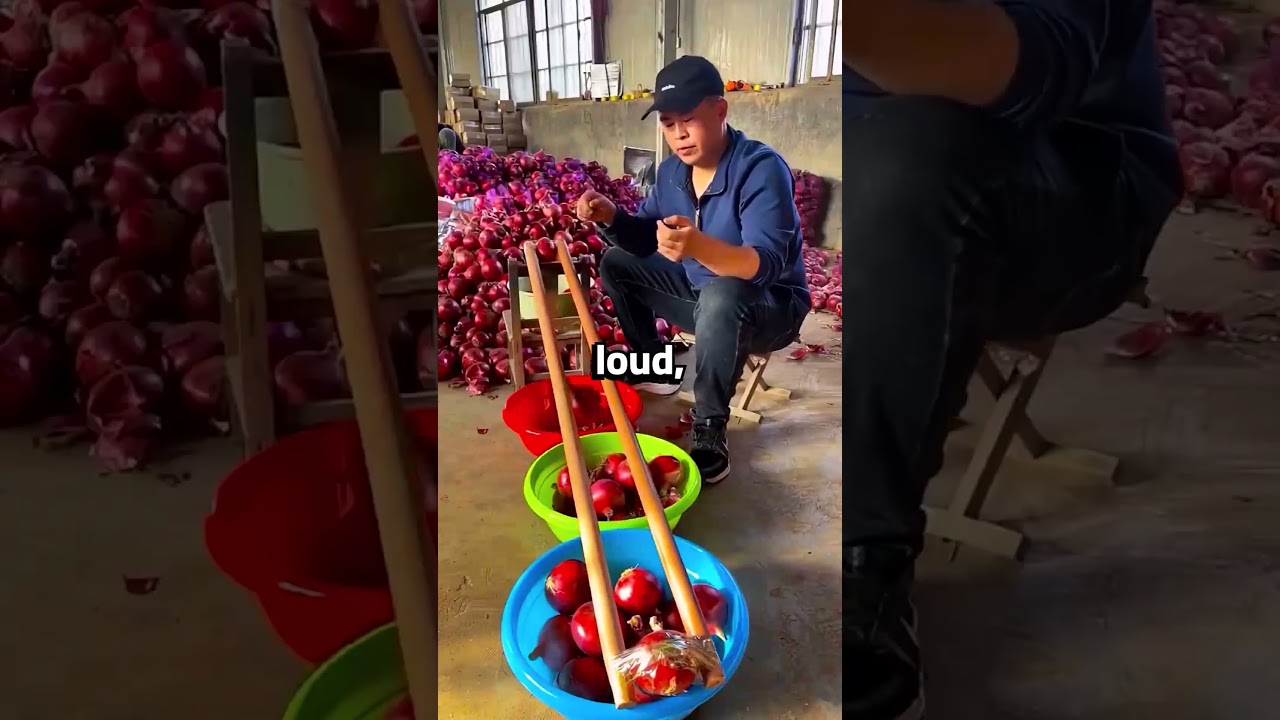 "STOP BEGGING FOR MONEY," MY BROTHER SAID AT THANKSGIVING. EVERYONE STAYED QUIET...