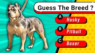 Dog Breeds Name | Guess The Dog Breed | Dog Breed Quiz screenshot 5