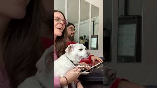 Taking Any Comfort That We Can cover harmonies coversong