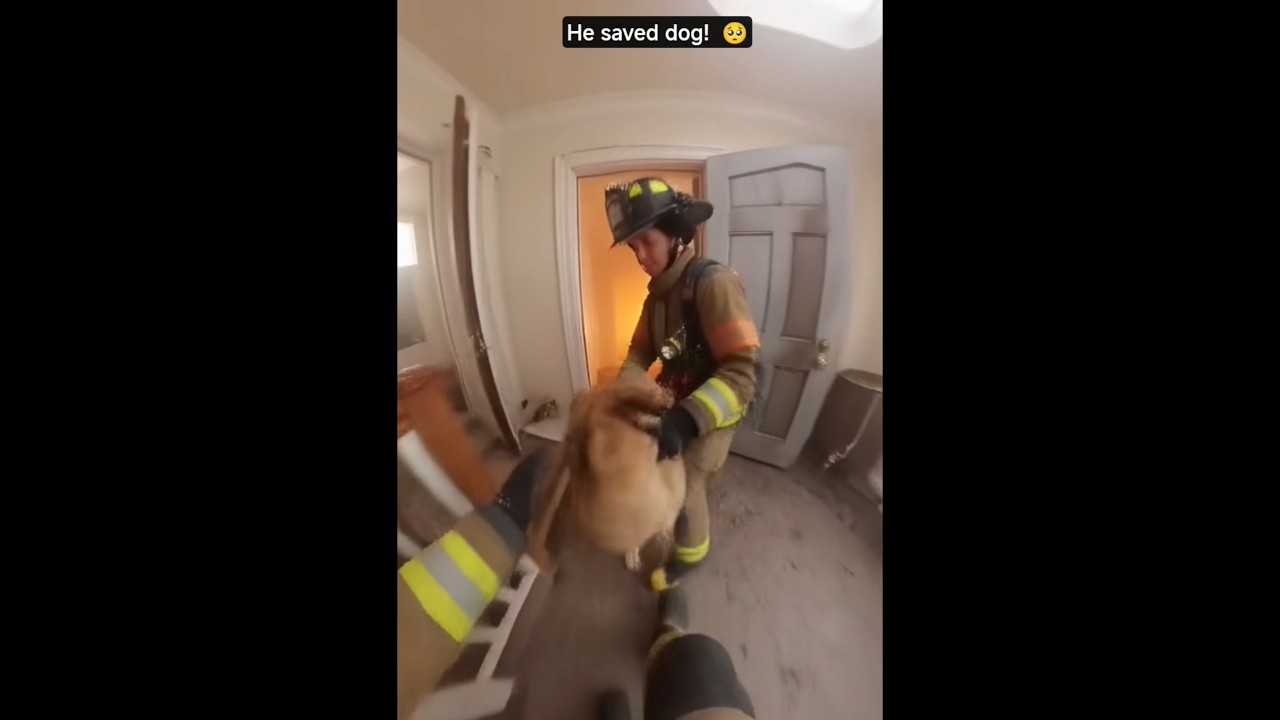 He went back for the DOG! 🥺❤️ 