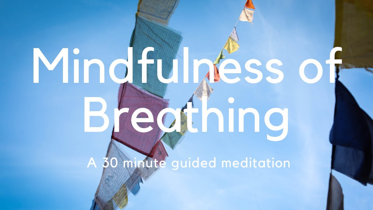 Mindfulness of Breathing: A Guided Meditation in Four Stages