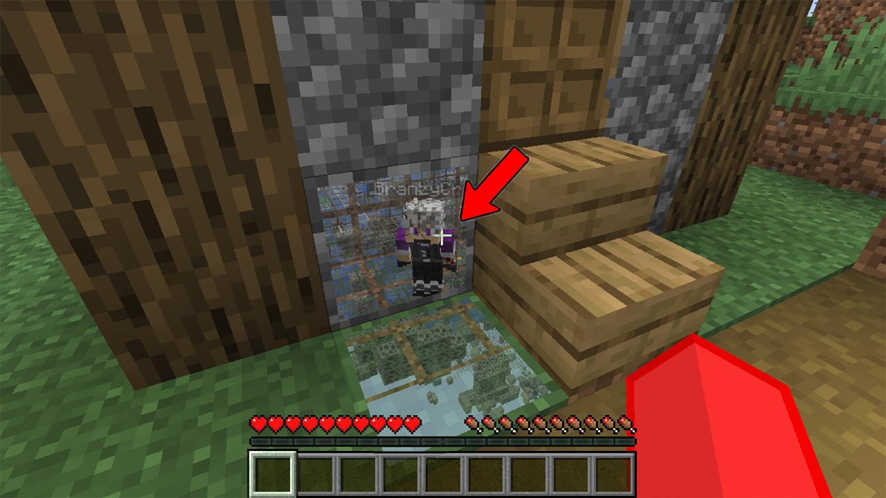 Secretly Using X-Ray During Hide And Seek