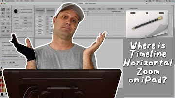Where is "Timeline Horizontal Zoom" in Rough Animator on iPad?
