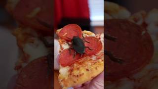 Roach On Pizza