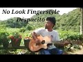 Despacito  fingerstyle by guitar master regine nueva
