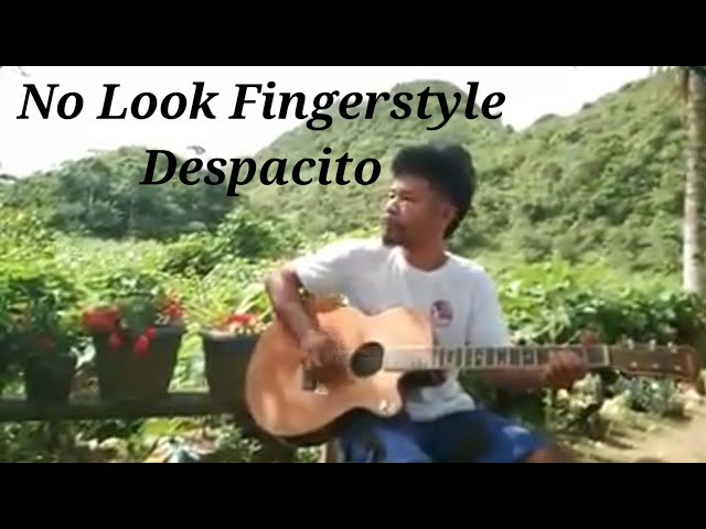 Despacito - Fingerstyle by Guitar Master Regine Nueva class=