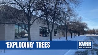 Fargo-Moorhead braces for icy roads and “exploding” trees