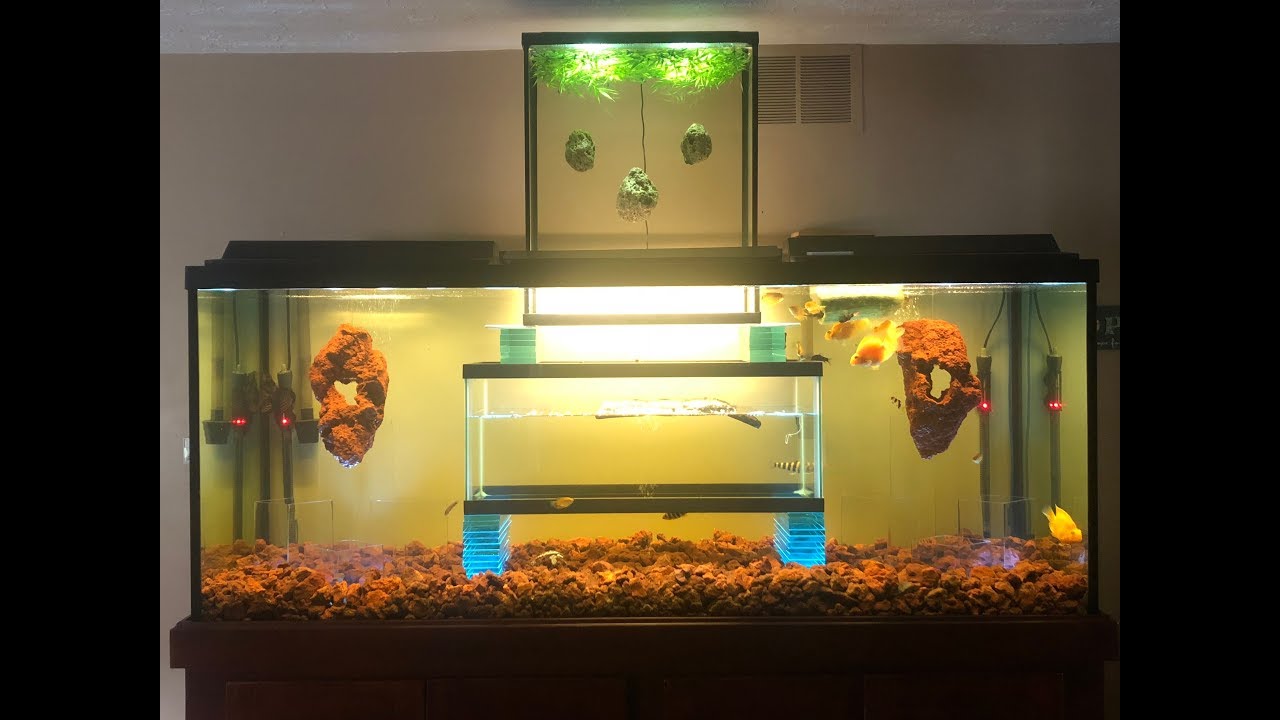 Most Creative Aquarium Design YouTube