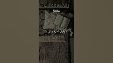 وقرآن الفجر إن قرآن الفجر كان مشهودا #فارس_عباد #سورة_الإسراء #قرآن #قرآن_كريم