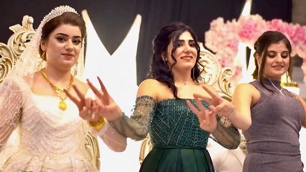 KOMA MİR SEGAVİ 2026 DAWETA • ASLAN İSO • [HD]