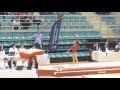 Gymnastique championnat de france elite 2016 mulhouse  finale saut gaf