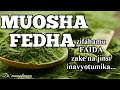 FAIDA ZA MUOSHA FEDHA FAIDA ZA MUOSHA FEDHA