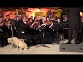 Video: Dog crashes orchestra performance in "the cutest moment in classical music"